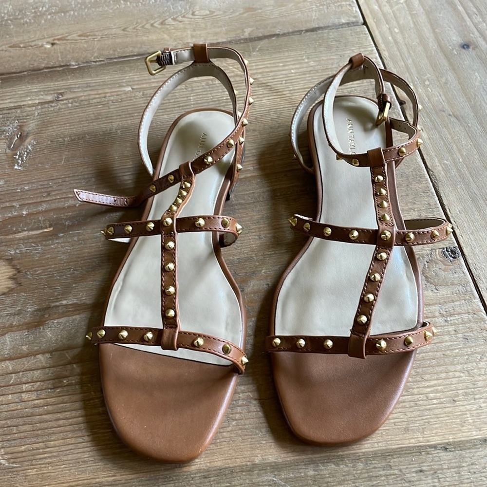 Ann Taylor sandals